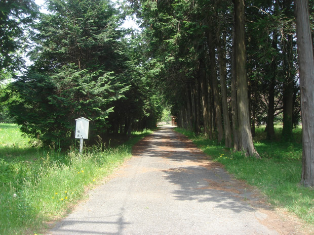 DSC00059 なんだかワクワクしそうな道