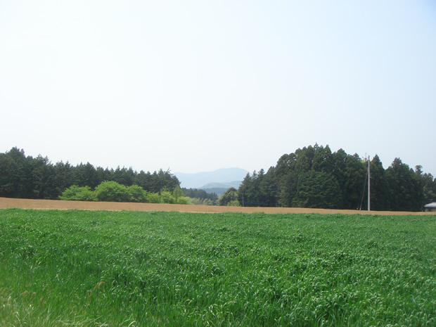 DSC00097 山もあります